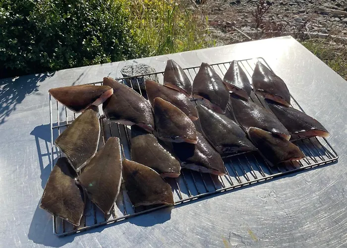 Appartement 4 Star In *